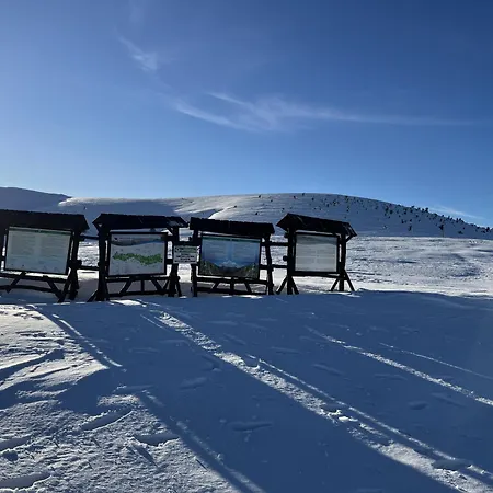 Edelweiss Oreshak * Orešak