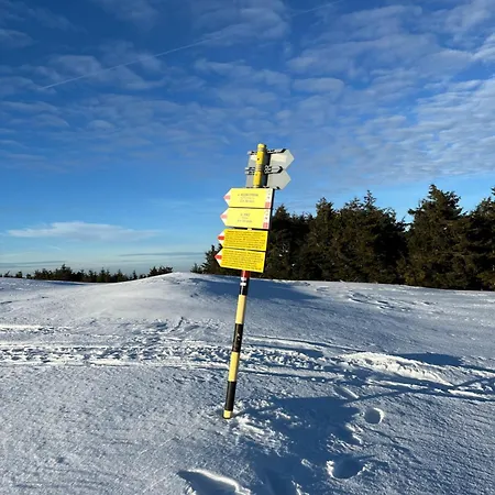 Edelweiss Oreshak Apartament