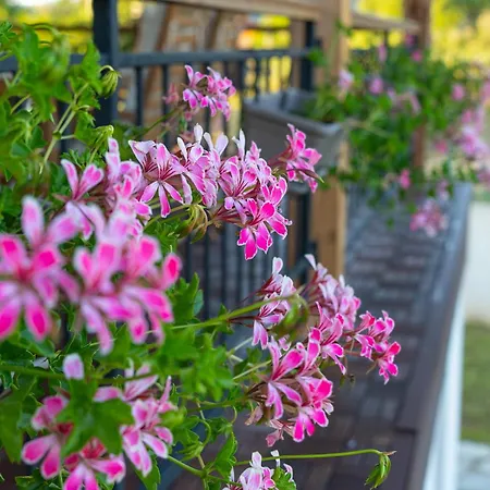 Edelweiss Oreshak Apartman Oresak