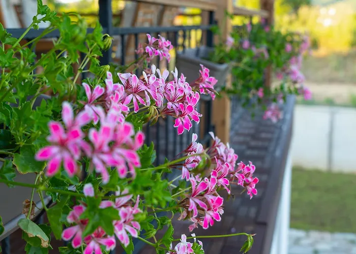 Edelweiss Oreshak Appartamento Oreshak (Lovech)